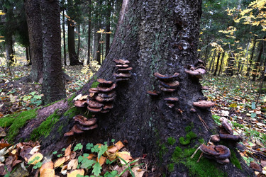 Similar image 21973159