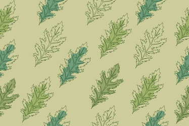 Similar image 21968701