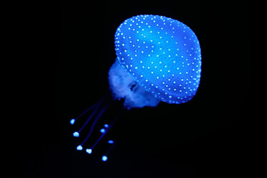 Similar image 21953787