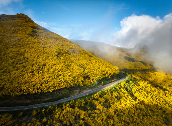 Similar image 21953792