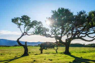 Similar image 21953816