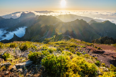 Similar image 21953818