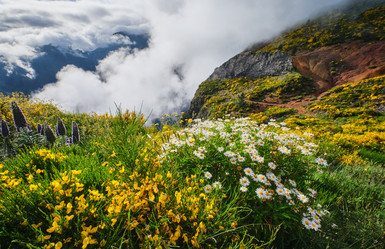 Similar image 21953824