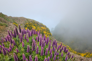 Similar image 21953830