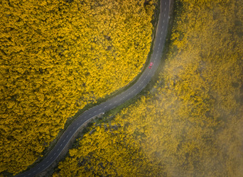 Similar image 21953833