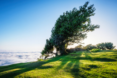 Similar image 21953834