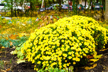 Similar image 21969357