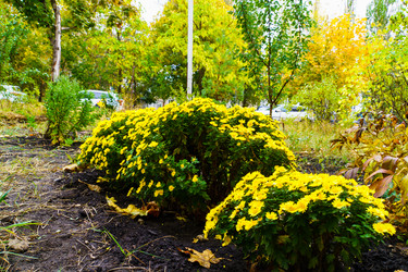 Similar image 21969358