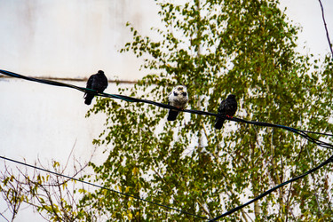 Similar image 21969360