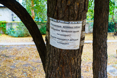 Similar image 21969362