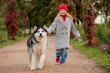 Similar image 21952407