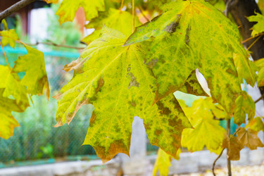 Similar image 21969367