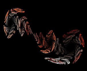 Similar image 21963548