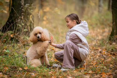 Similar image 21952414