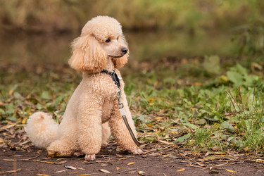 Similar image 21952415