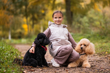 Similar image 21952416