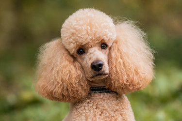 Similar image 21952418