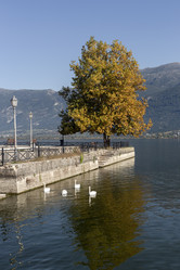 Similar image 21951339