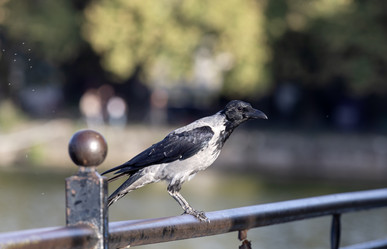 Similar image 21951723