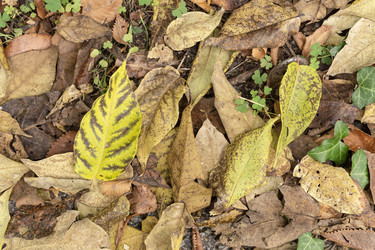 Similar image 21951343