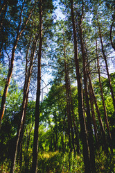 Similar image 21970355