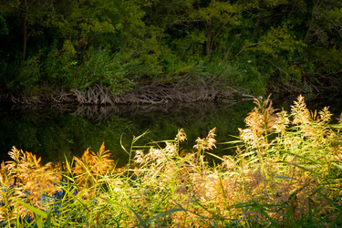 Similar image 21970357