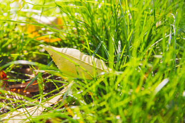 Similar image 21970362