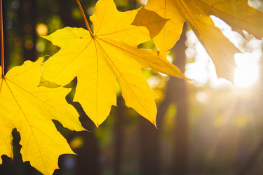 Similar image 21970363