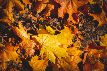 Similar image 21970369