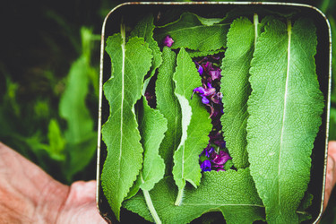 Similar image 21970381