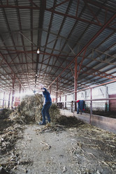 Similar image 21970391