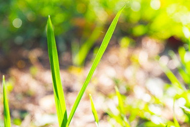 Similar image 21970396