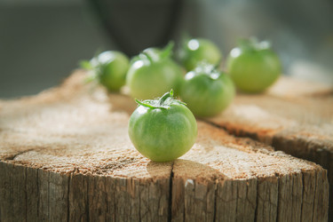 Similar image 21970425