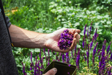 Similar image 21970426