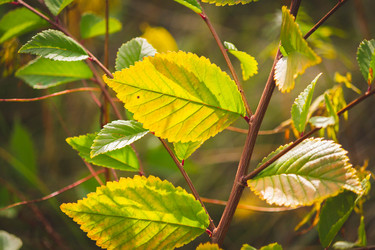 Similar image 21970435