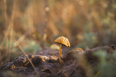 Similar image 21970445