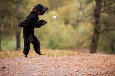 Similar image 21952420