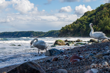 Similar image 21953590