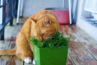 Similar image 21951345