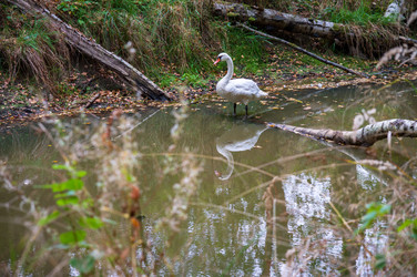 Similar image 21969296