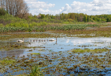 Similar image 21965827