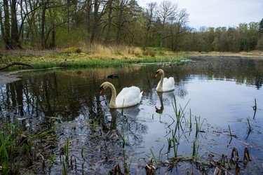 Similar image 21953592