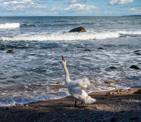 Similar image 21965828