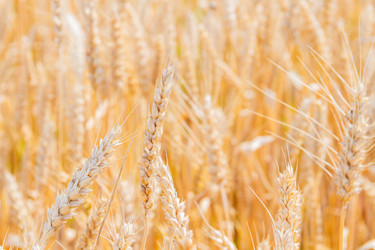 Similar image 21970449