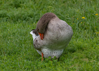 Similar image 21969369