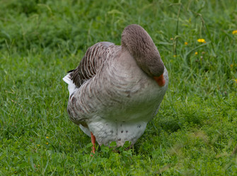 Similar image 21969370