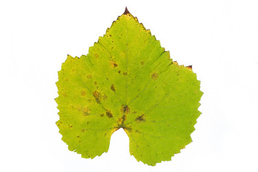 Similar image 21952024