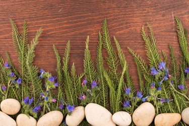 Similar image 21952027