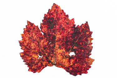 Similar image 21952028