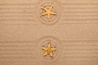 Similar image 21952031